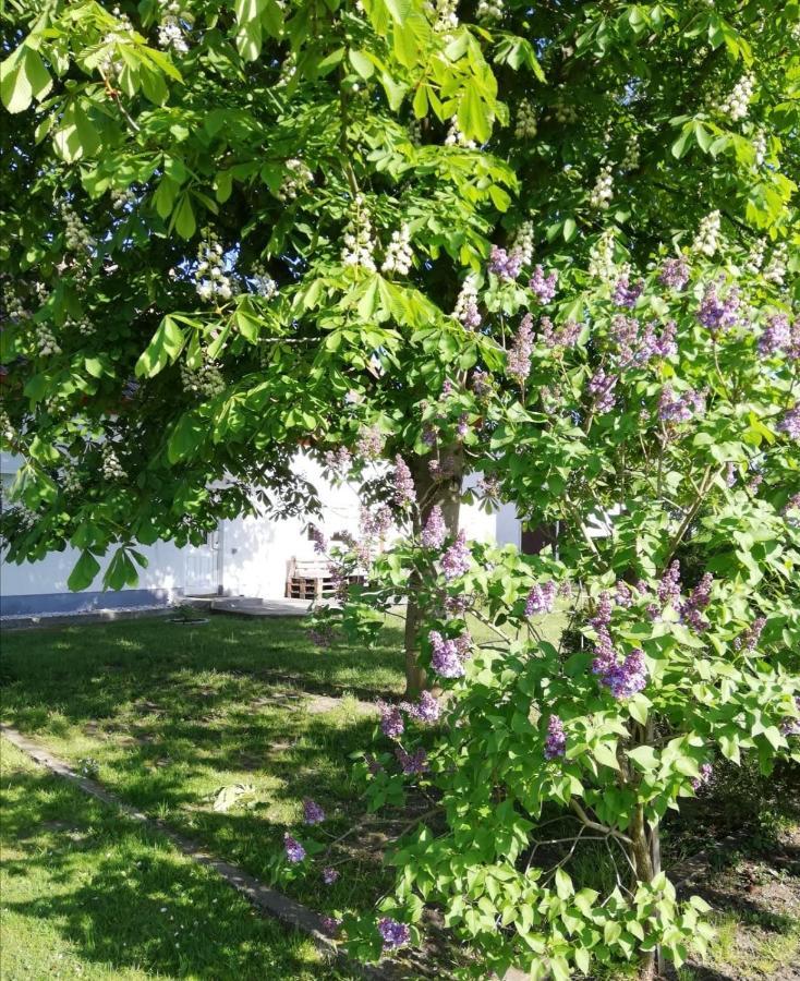Gross Sarchen Ferienwohnung Lodig المظهر الخارجي الصورة